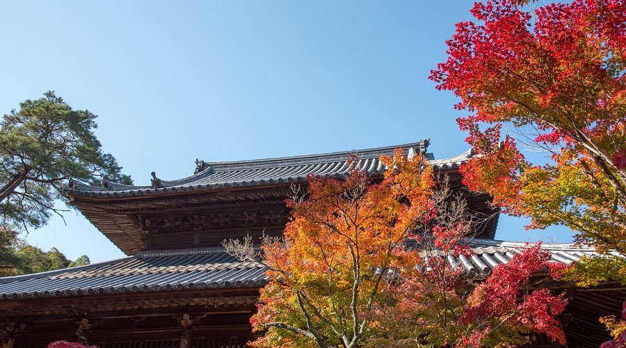 🏯 이야마 호후쿠지